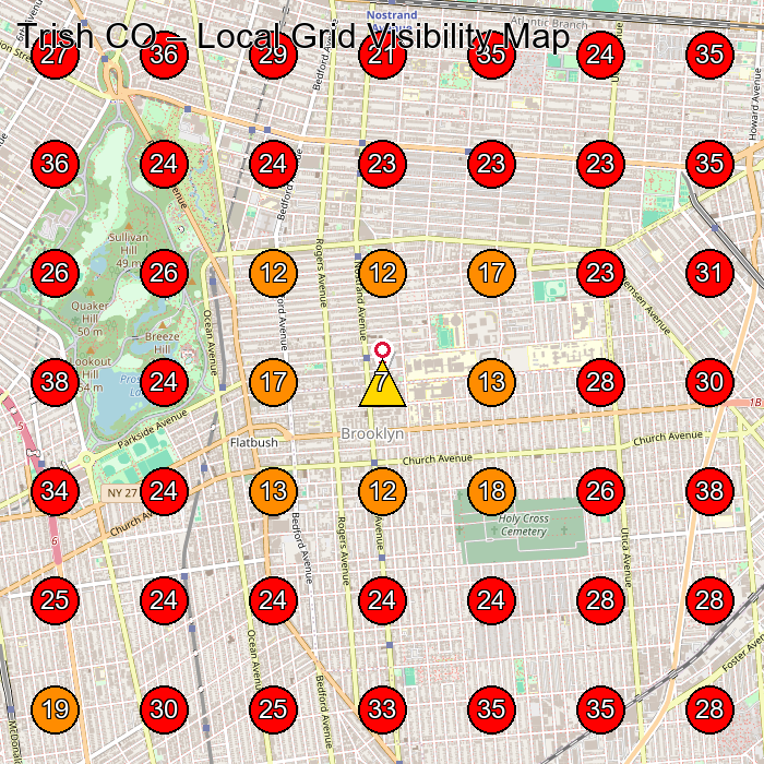 Trish CO GeoGrid visibility map for Beauty Supply Store in Brooklyn